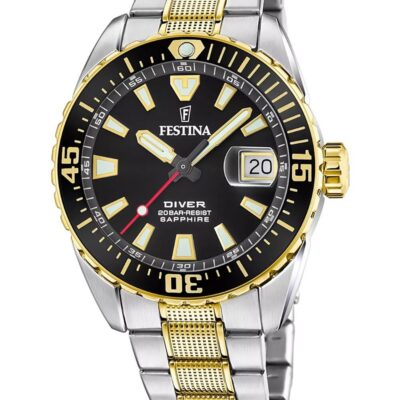 Festina Men's 41mm Stainless Steel Watch (F20706_3)