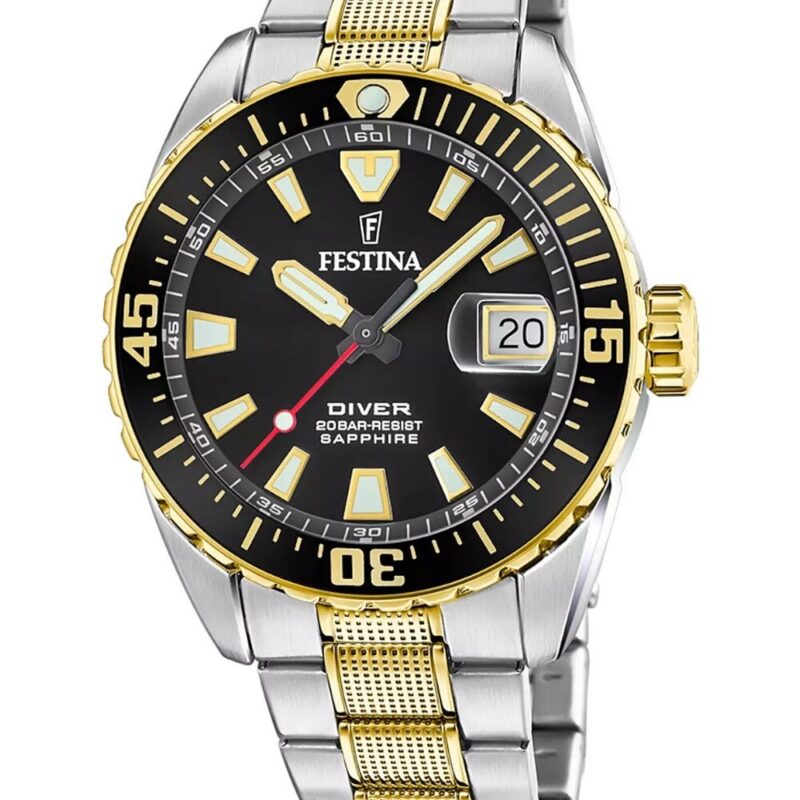 FESTINA F20706_3 Watch Men's Festina Men's 41mm Stainless Steel Watch (F20706_3)