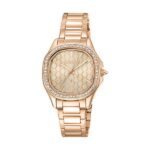 JUST CAVALLI TIME WATCHES JC1L263M0075