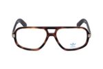 ADIDAS ORIGINALS OR5105 052 Sunglasses