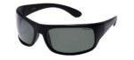 POLAROID PLD 07886 Men's Sunglasses