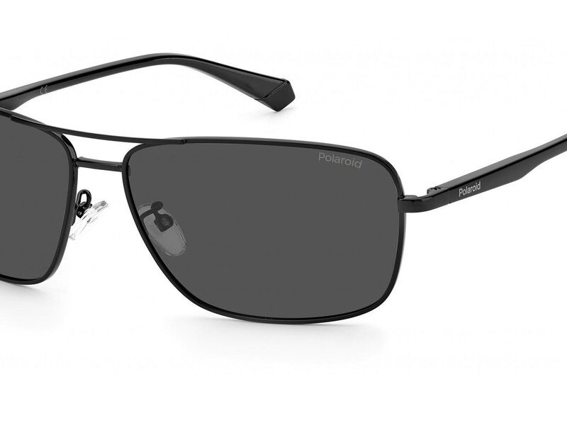 POLAROID Men's Sunglasses PLD 2119_G_S