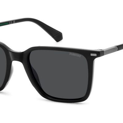 Polaroid Men's PLD 4183/S/X Black/Grey Polarized Sunglasses