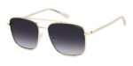 Polaroid Men's PLD 4192/G/S/X Gold Grey/ Grey Shaded Polarized Sunglasses