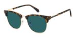 Polaroid Men's PLD 4196/S/X Dark Havana/Blue Polarized Sunglasses