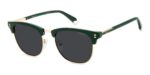 Polaroid Men's PLD 4196/S/X Green/ Grey Polarized Sunglasses