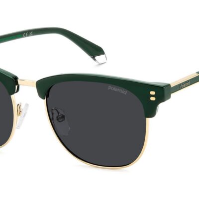 Polaroid Men's PLD 4196/S/X Green/ Grey Polarized Sunglasses