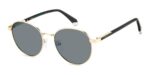 Polaroid Men's PLD 4197/S/X Gold/Grey Polarized Sunglasses