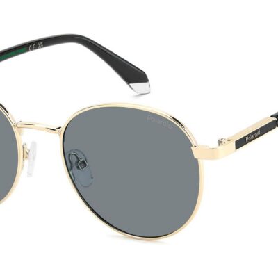 Polaroid Men's PLD 4197/S/X Gold/Grey Polarized Sunglasses