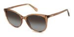 Polaroid Women's PLD 4200/S/X Champagne/ Brown Shaded Polarized Sunglasses
