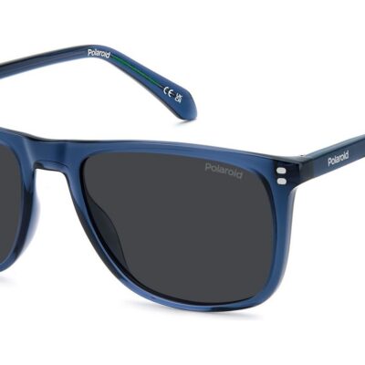 Polaroid Men's PLD 4202/S/X Blue/Grey Polarized Sunglasses