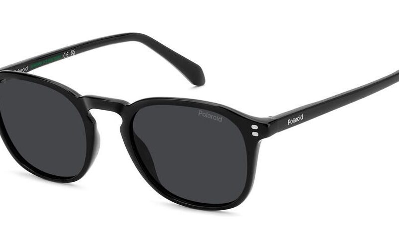 POLAROID PLD 4203_S_X Sunglasses