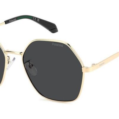 POLAROID PLD 4205_G_S_X Women's Sunglasses