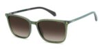 Polaroid Men's PLD 4207/S/X Green/ Brown Shaded Polarized Sunglasses