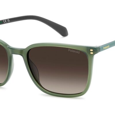 Polaroid Men's PLD 4207/S/X Green/ Brown Shaded Polarized Sunglasses