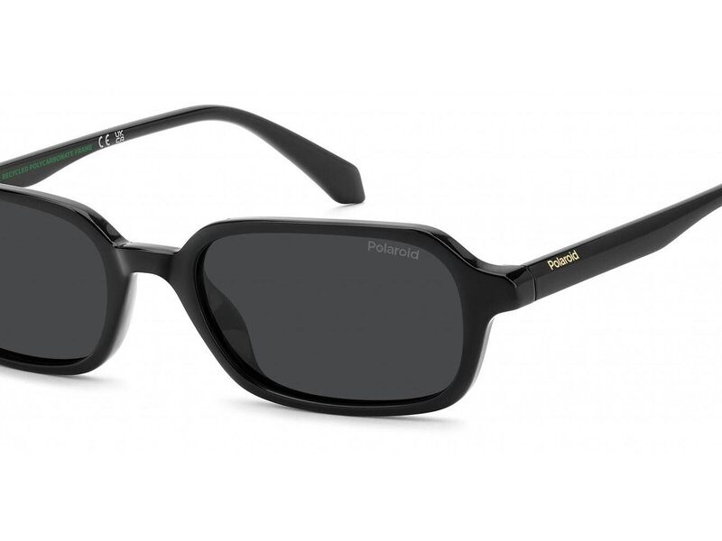 POLAROID Men's Sunglasses PLD 4219_S