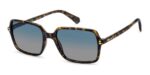 Polaroid Men's PLD 6247/S Havana/ Blue Shaded Polarized Sunglasses
