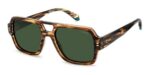 POLAROID PLD 6250_S_X Men's Sunglasses