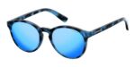 POLAROID PLD 8024_S Unisex Sunglasses