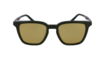 Salvatore Ferragamo SF1100S Transparent Dark Green/Green Sunglasses
