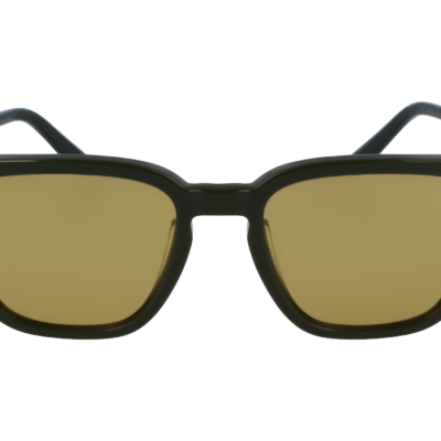 Salvatore Ferragamo SF1100S Transparent Dark Green/Green Sunglasses