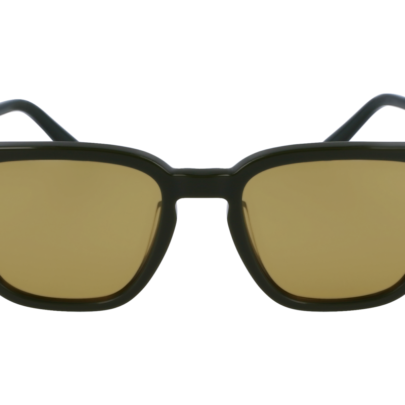 Salvatore Ferragamo SF1100S Transparent Dark Green/Green Sunglasses