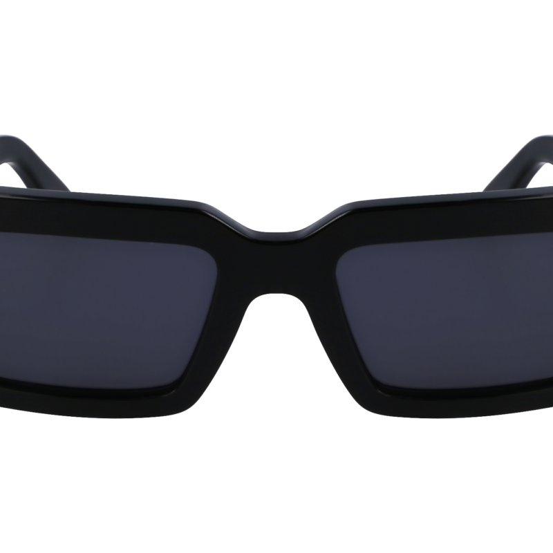 Salvatore Ferragamo SF1108S Sunglasses