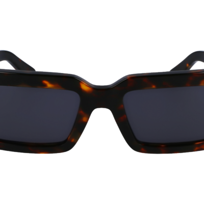Salvatore Ferragamo SF1108S Sunglasses