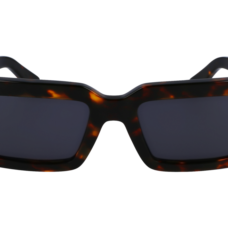 Salvatore Ferragamo SF1108S Sunglasses