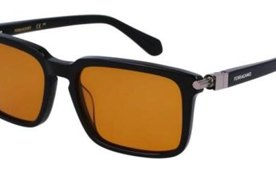 Salvatore Ferragamo SF1110S Black/Orange Sunglasses