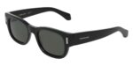 Salvatore Ferragamo SF2064SE Black/Grey Sunglasses