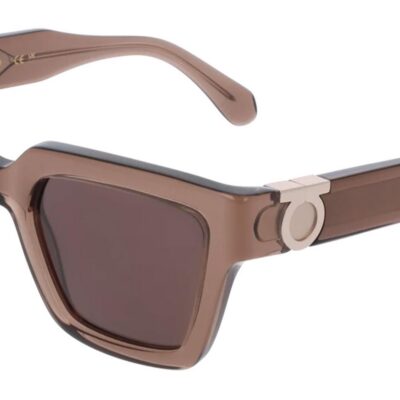 Salvatore Ferragamo SF2066S Transparent Brown/Brown Sunglasses