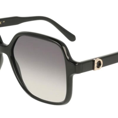 Salvatore Ferragamo SF2069SE Black/Grey Sunglasses