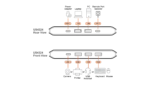 ATEN 2 x 4 USB 3.2 Gen 1 Sharing Switch