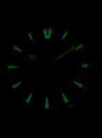 Citizen BI1045-13E Quartz Men's Watch