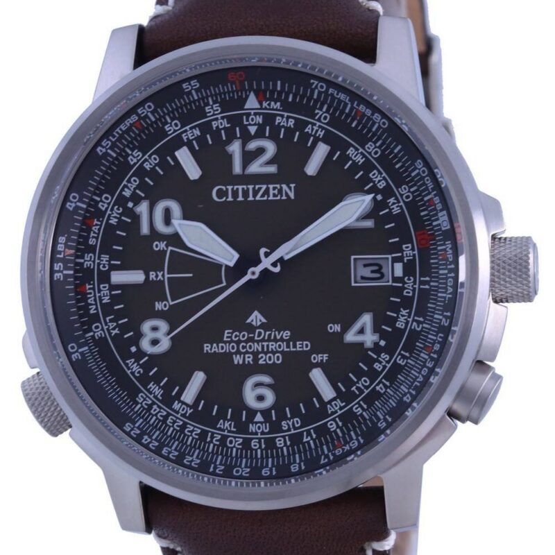 Citizen Men's Stainless Steel Watch (CB0240-29X)
