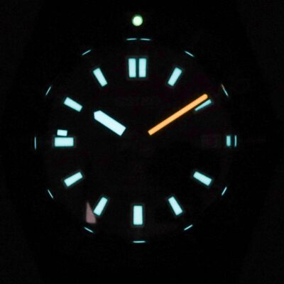 Seiko Men's Stainless Steel Watch (SPB253J1)