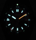 Seiko Men's Stainless Steel Watch (SPB253J1)