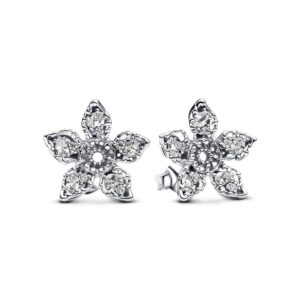 Pandora Women's Earrings (293573C01)