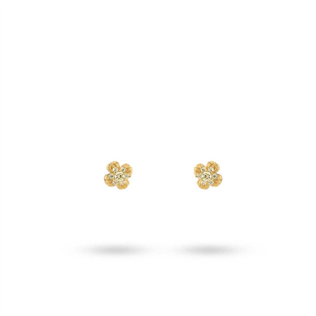 42497Y 24KAE by Kae Sutherland Jewels Women's Earrings (42497Y ) - Jewellery