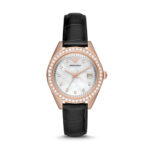 Emporio Armani Women's Watch (AR11505)