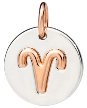 Charms Dodo Dmc2009zodar0009a (DMC2009ZODAR0009A)  JEWELRY_main