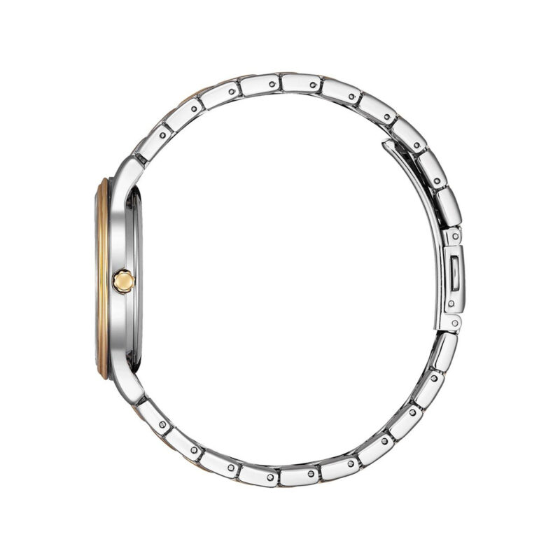 Citizen Elegance (EM0416-78A)  Watch_1