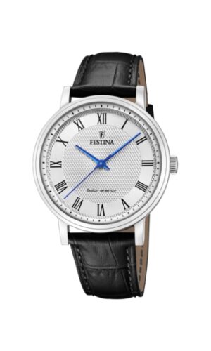 Festina Watches F20660/3 (F20660_3)  Watch_main
