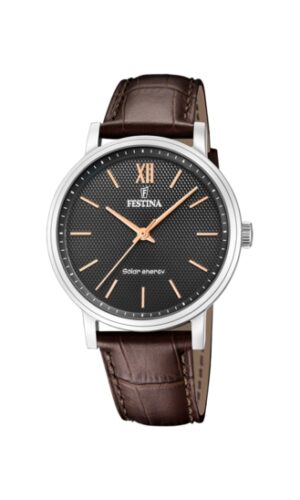 Festina Watches F20660/6 (F20660_6)  Watch_main