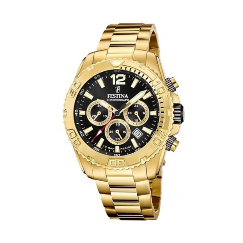 Festina Watches F20684/4 (F20684_4)  Watch_main