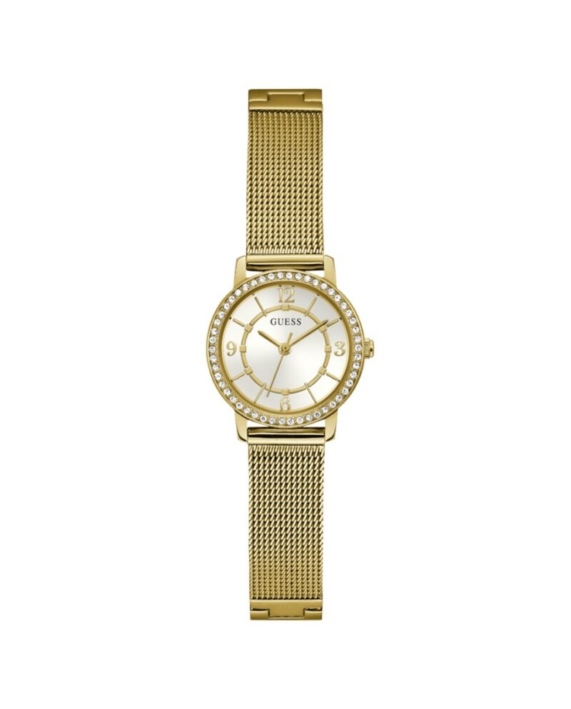 Guess Watches Gw0534l2 (GW0534L2)  Watch_main