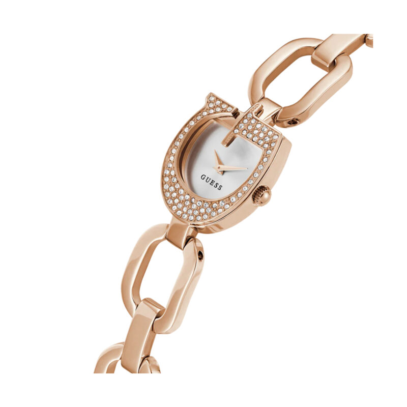 Guess Watches Gw0683l3 (GW0683L3)  Watch_2