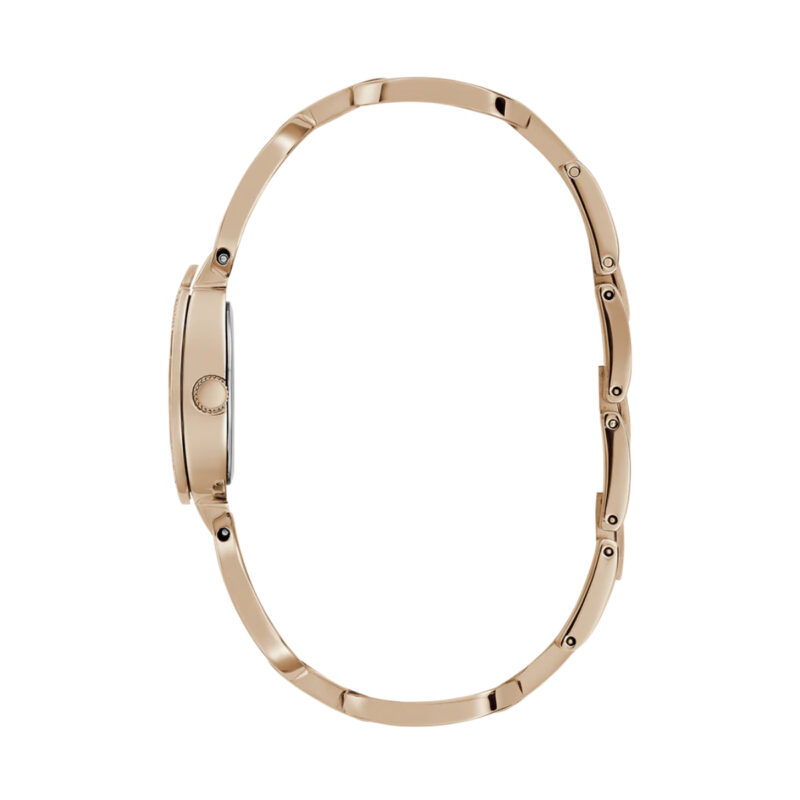 Guess Watches Gw0683l3 (GW0683L3)  Watch_3