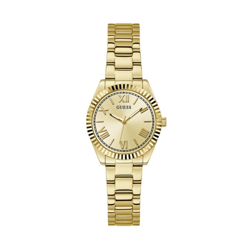 Guess Watches Gw0687l2 (GW0687L2)  Watch_main